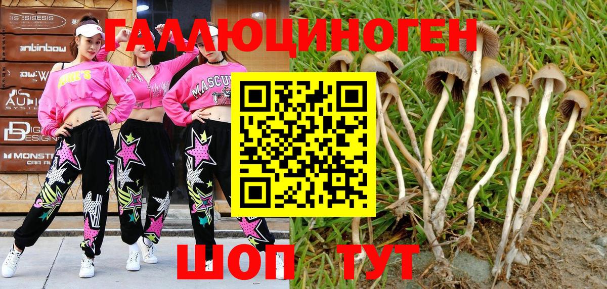 Щёкино  Псилоцибиновые грибы GOLDEN TEACHER  Вход с VPN 